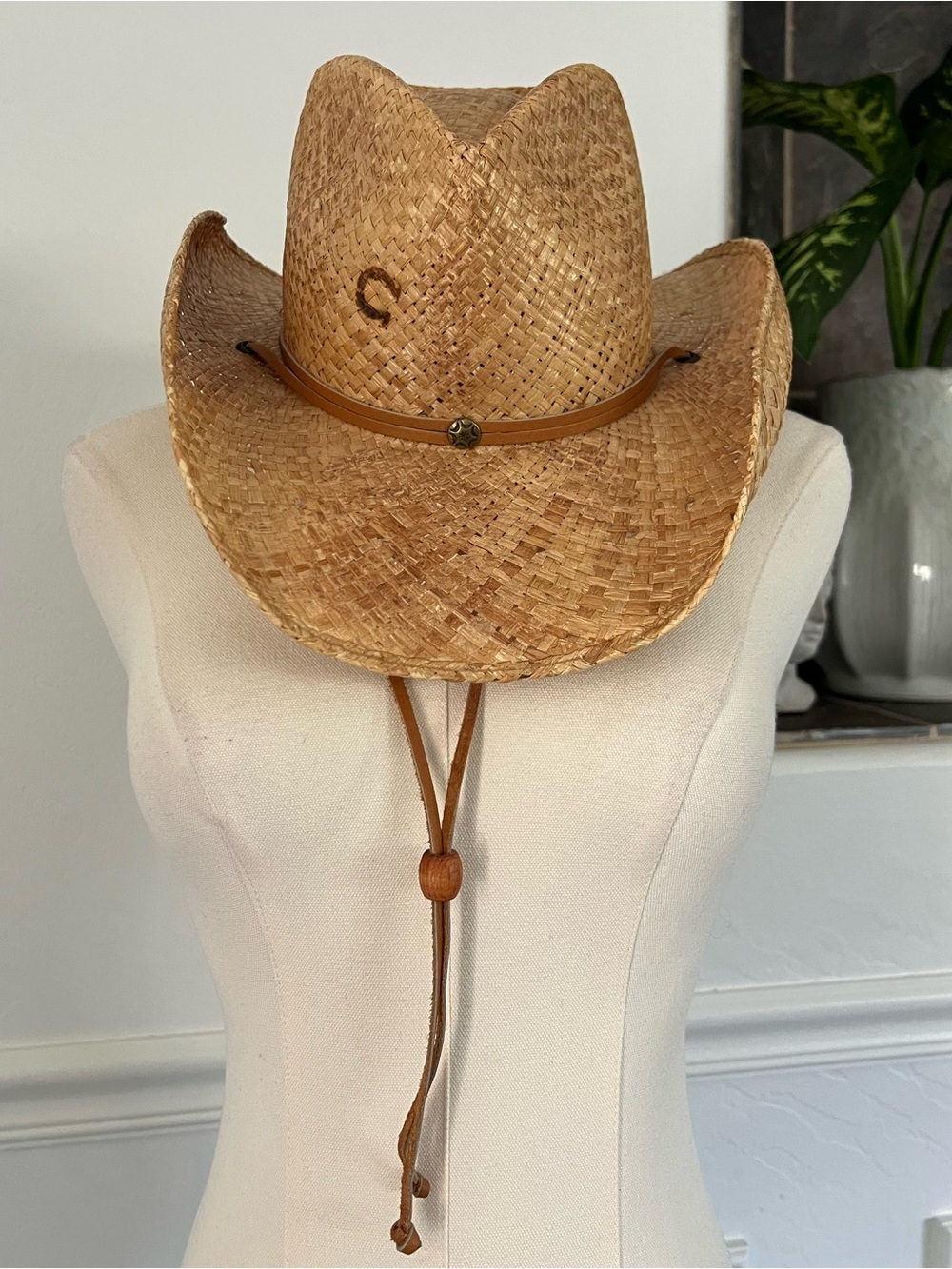 Charlie 1 Horse Straw Cowboy Western Hat